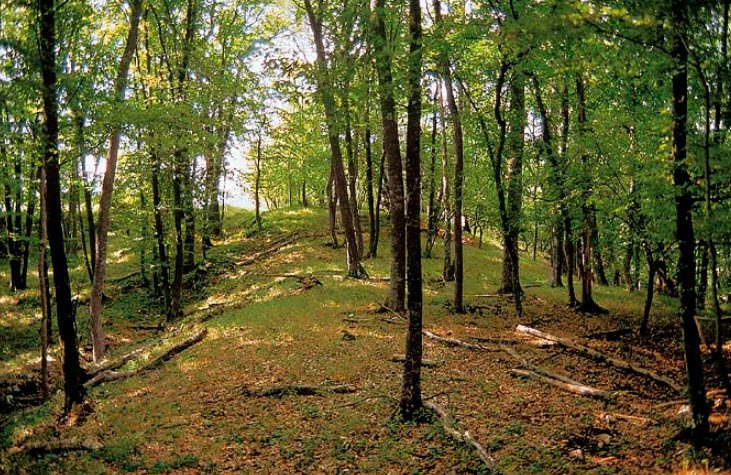 Hrad Drienok, Rybník, Revúca District, Slovakia, Slovakia
